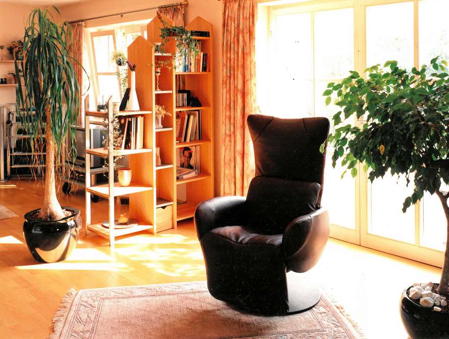 Bücherraumteiler aus Edelstahl und Massivholz Buche 